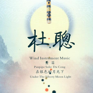 可爱的一朵玫瑰花