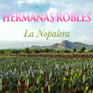 Vuelen Palomas