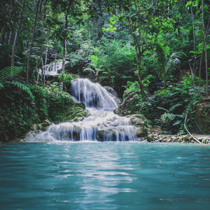 Calming