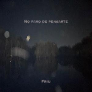 No Paro De Pensarte
