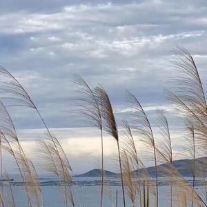 关于生活里的与你相关