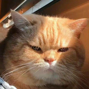 在日落公路把青春唱旧