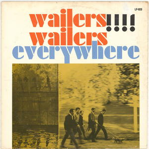 The Wailer