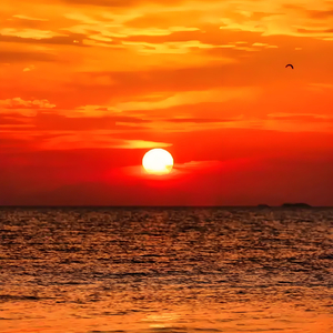 怎么拥抱你背影