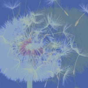 carnelian (quiet mansions mix)