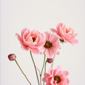 꽃의 기억 (feat. sohyun)