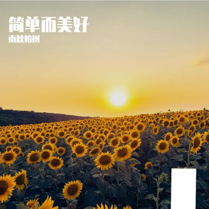 简单而美好