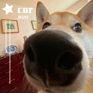 JIEBOSS-Car6（龙豆豆 remix）