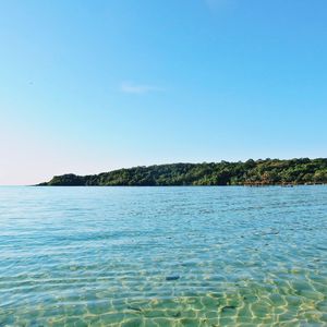 优秀的吃周围环境