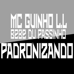 PADRONIZANDO