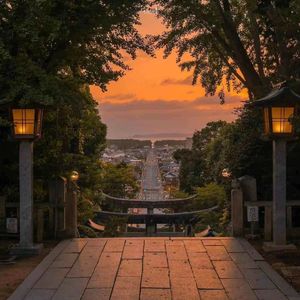 《毒药》-泡芙小新版