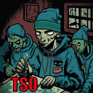 TSO