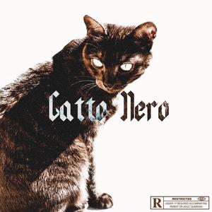 Gatto Nero