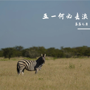 五一何必去浪