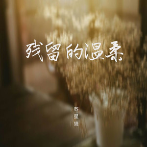 残留的温柔 (0.9x)