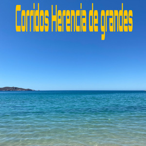 Captura 3 (Versión norteña)