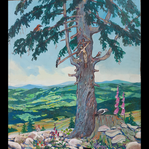 Torka (live) O obrocie materii