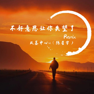 不好意思让你失望了Remix