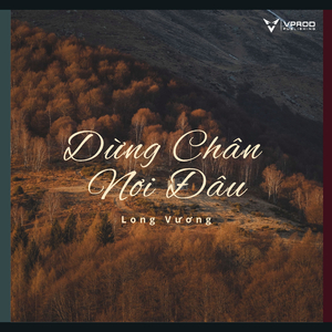 Dừng Chân Nơi Đâu (Remix)