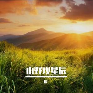破茧迎风行