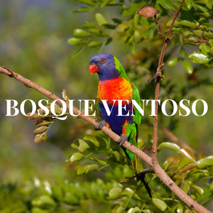 VENTOSO