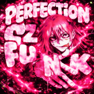 PERFECTION FUNK