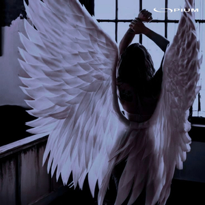 favorite (O***mcore)