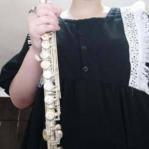 【长笛】怪物猎人组曲 MONSTER HUNTER：英雄の証 ＋ 妖艶なる舞 ＋ 星に駆られて