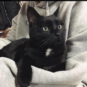 i really love you.（prod jacobnothubrex.)