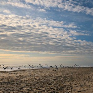 Verde Aunque Sea Rojo