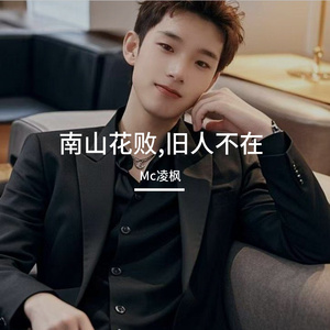 南山花败,旧人不在
