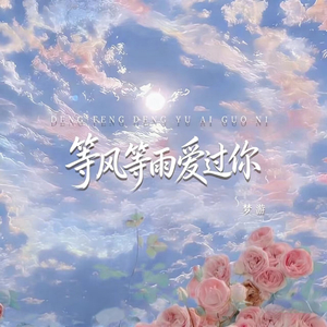 等风等雨等过你 (伴奏版)