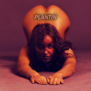 Plantin