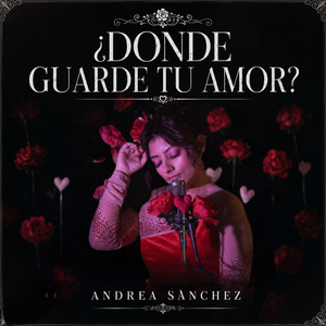 ¿Donde guarde tu amor?