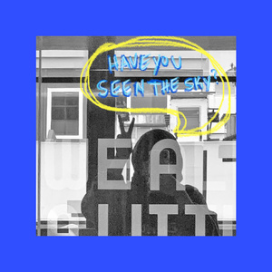 Have You Seen The Sky?