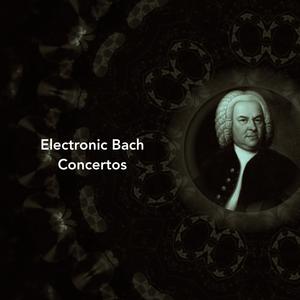 Concerto in C major, BWV 984: II. Adagio e affettoso