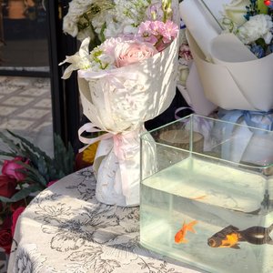 小蝴蝶和快乐小狗