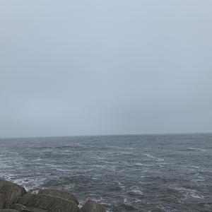 Hypocritical(prod by 9Zi)