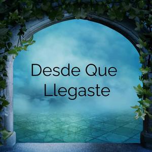 Desde Que Llegaste