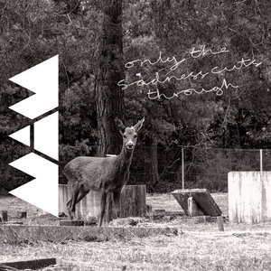 Signals from a Place Beyond