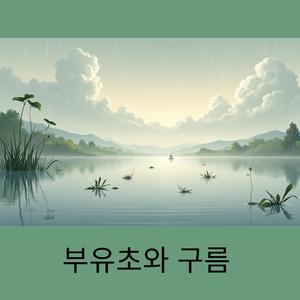 빛으로 가득한 인생