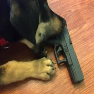 Glockie