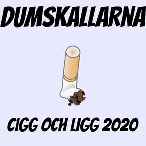 Cigg Och Ligg 2020