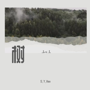 阳光开朗大男孩