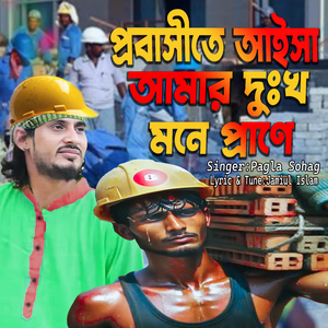 প্রবাসীতে আইসা আমার দুঃখ মনে প্রাণে