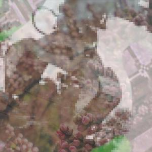 call of the harvestmen