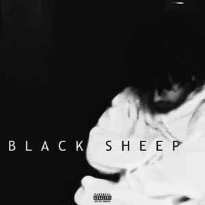 BLACK SHEEP
