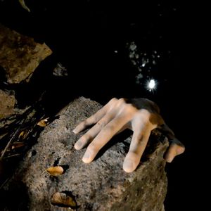 在生命尽头拥抱你