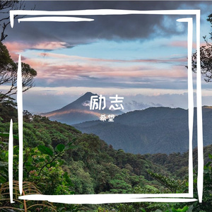 晚风等落叶 而我等你路过