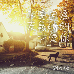 不是因為天氣晴朗才愛你 (鋼琴版)